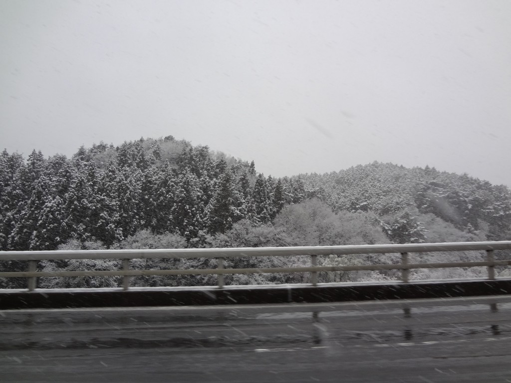 仙台青少年文化センターでのコンサートの前日は、雪が降り、満開の桜に雪が積もるという大変珍しく美しい光景を見ることができました