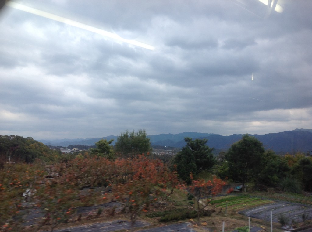 南海高野線では外国人観光客の方も多く、ずっと電車の外の美しい紅葉の風景をカメラに収めていらっしゃいました。つい最近、南米の風景を肌で感じたばかりだった私にも、のどかな車窓の風景がいつもより更に美しく見えました。